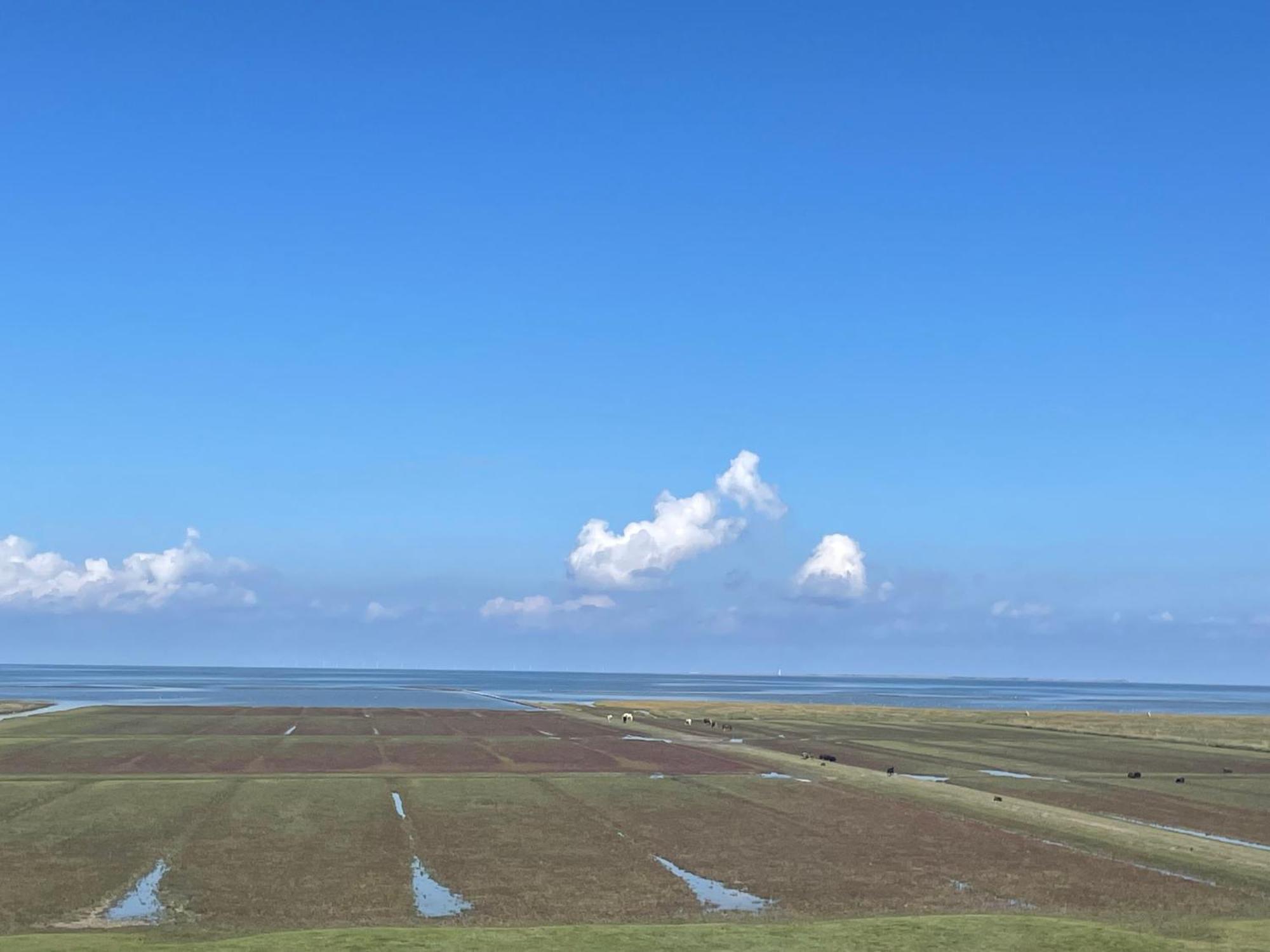 De Oude Smidse Hotel Westernieland Екстериор снимка